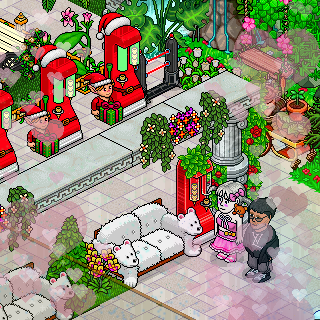 Photo by ˗ˏˋ𝓛𝓾𝓬𝓬𝓪ˎˊ˗