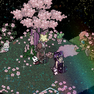 Photo by Silki