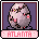 Hanami_Egg_Atlanta